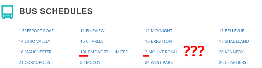 List of bus routes under the heading "Bus Schedules." Route 19L is immediately followed by route 2, and these route numbers are underlined and annotated with "???"